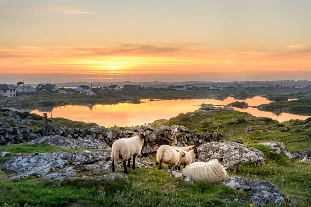 Ireland & Scotland 2027