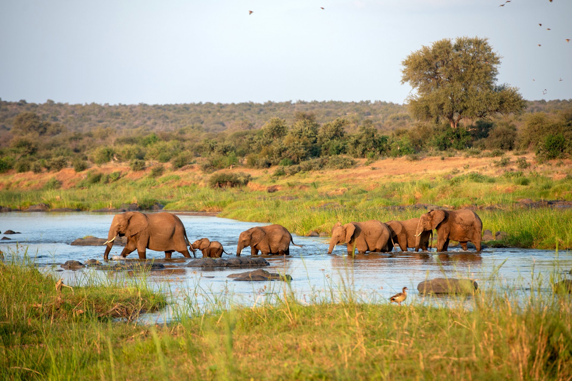 14-day Guided Tour Package In South Africa - Flight Included 