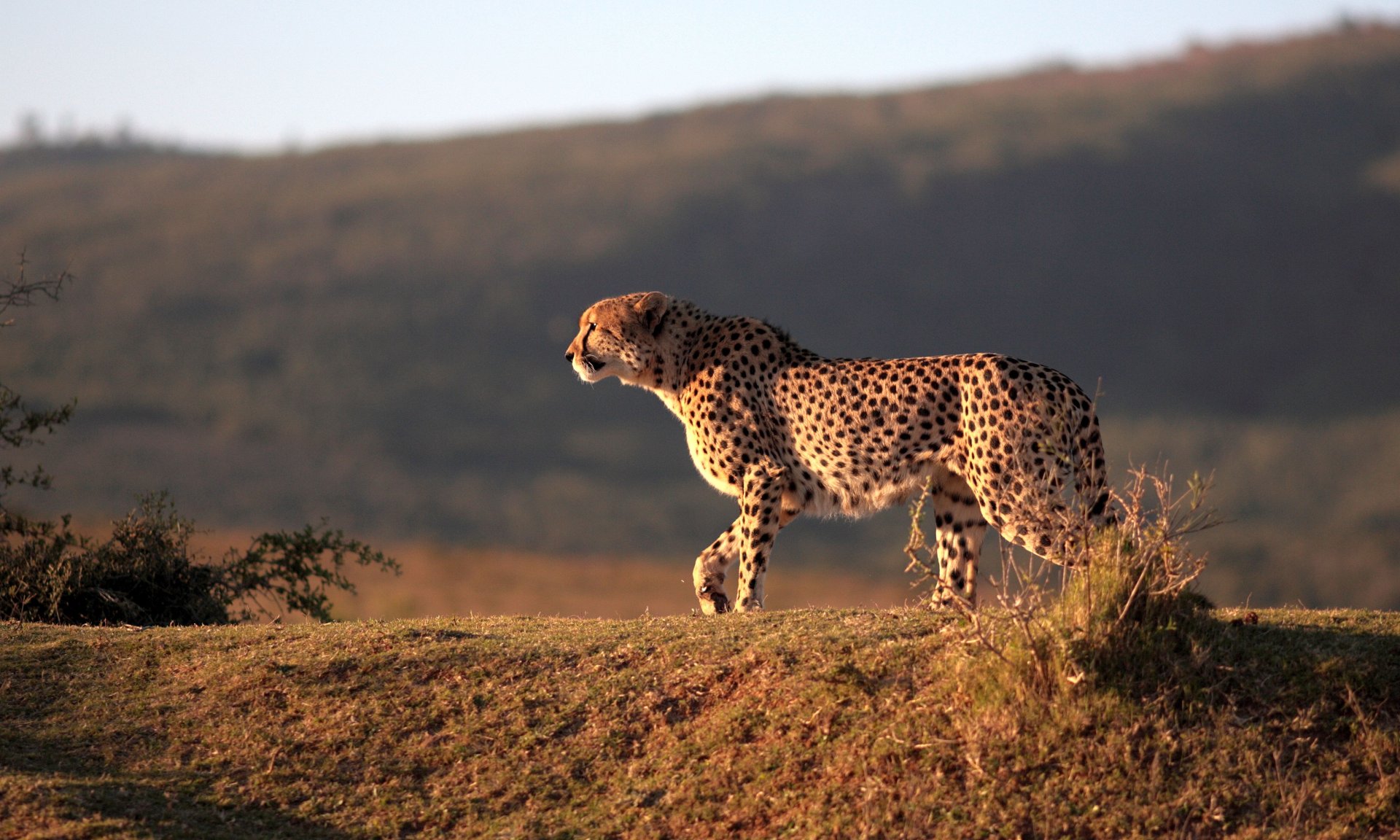 Magnificent South Africa