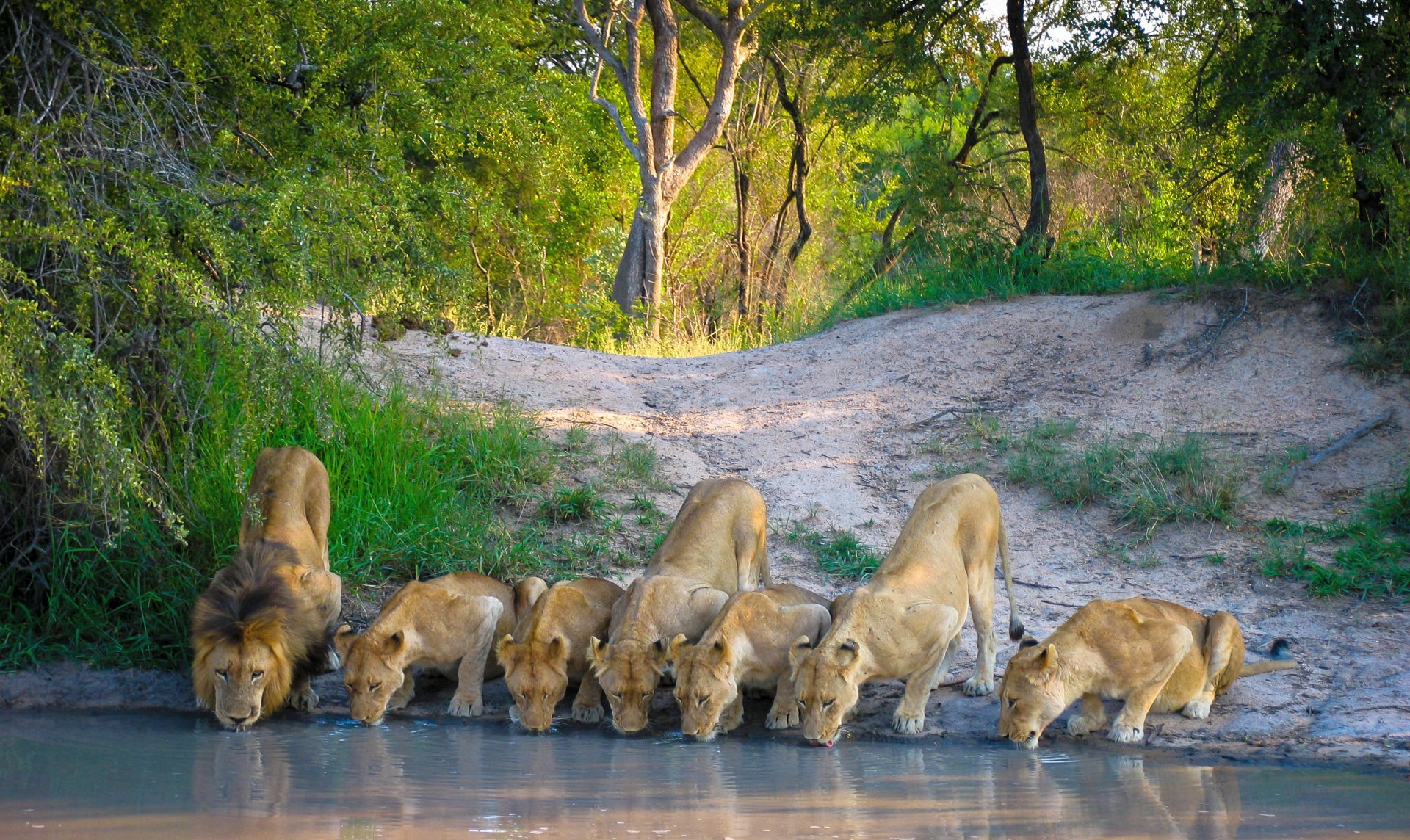 Magnificent South Africa