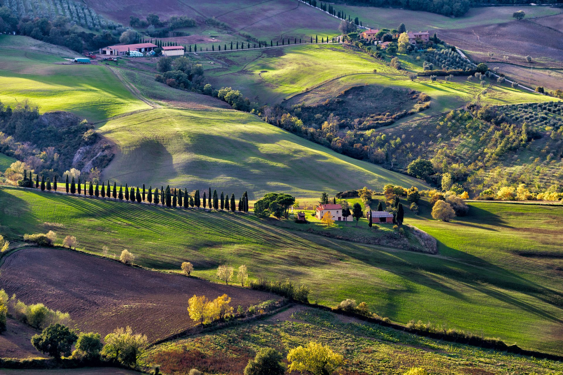The Italian dream