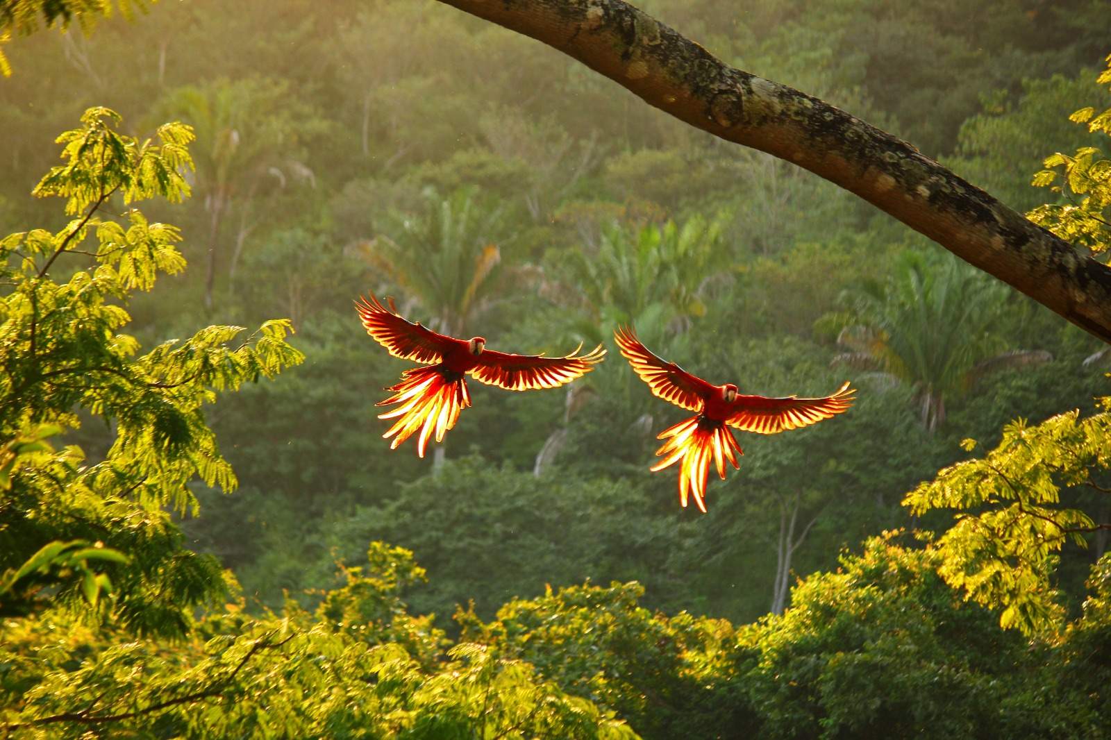 Costa Rica’s natural wonders!