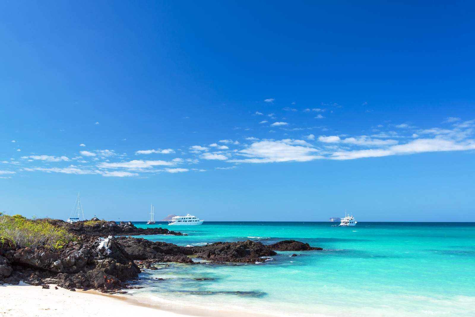 Ecuador & Galapagos Islands
