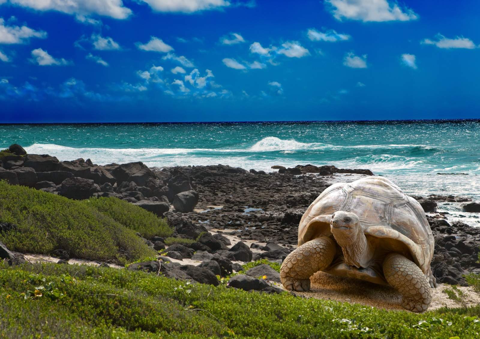 Ecuador & Galapagos Islands