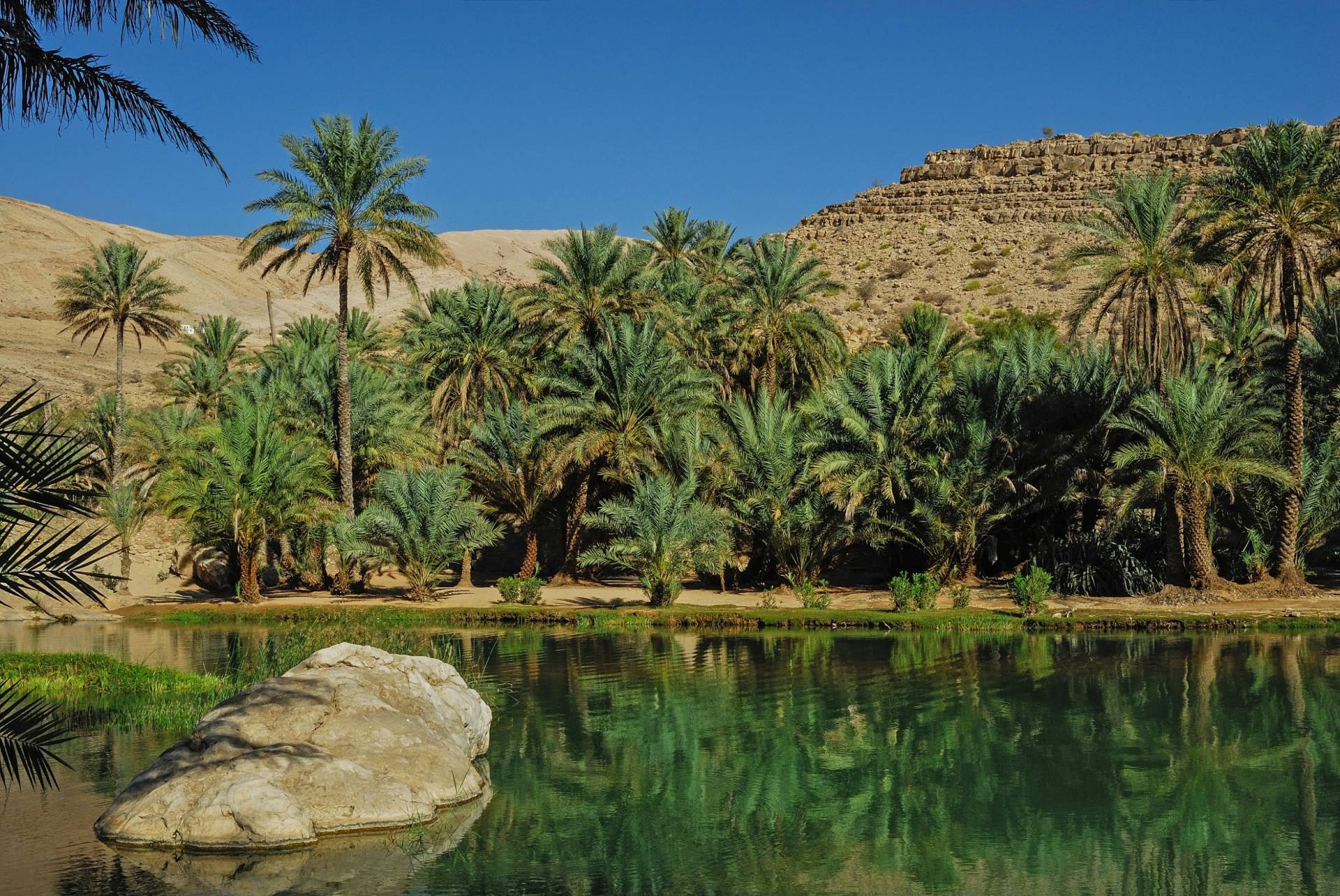 Dubai & Oman