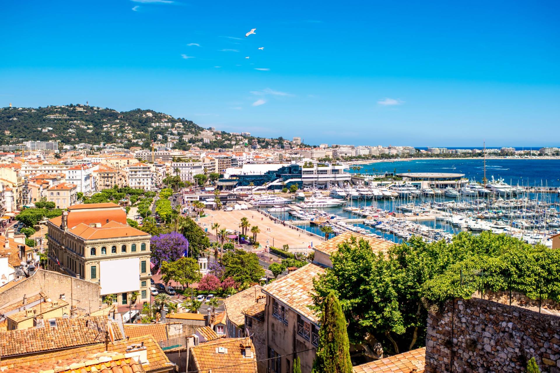 Paris & the French Riviera