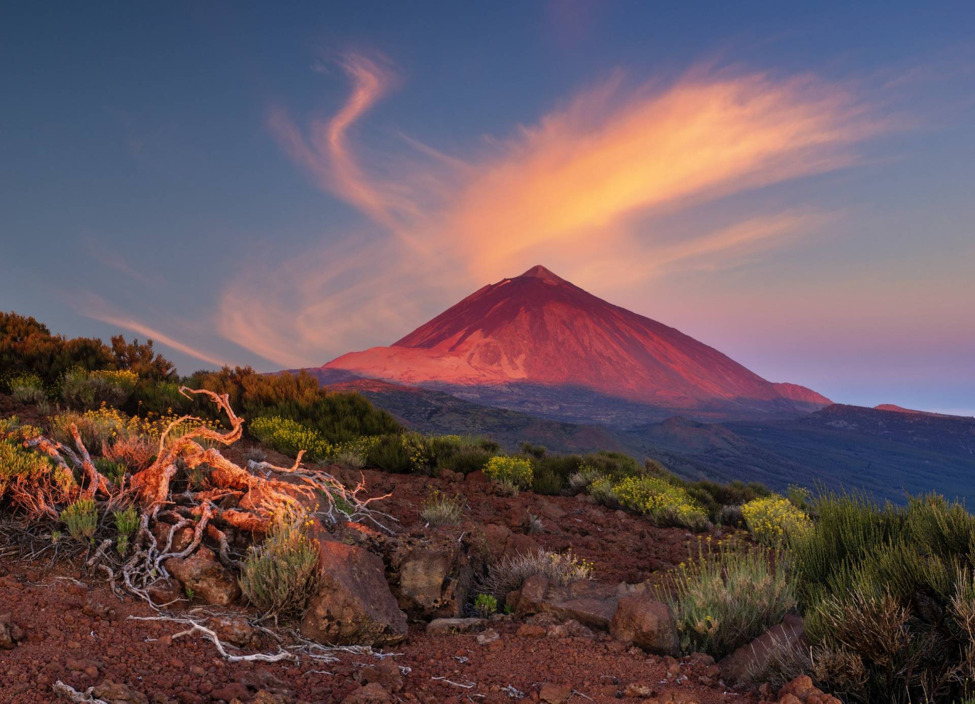 Portugal & Canary Islands