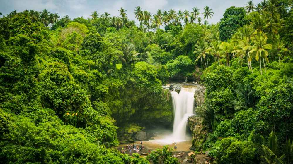 Wake up in Bali!