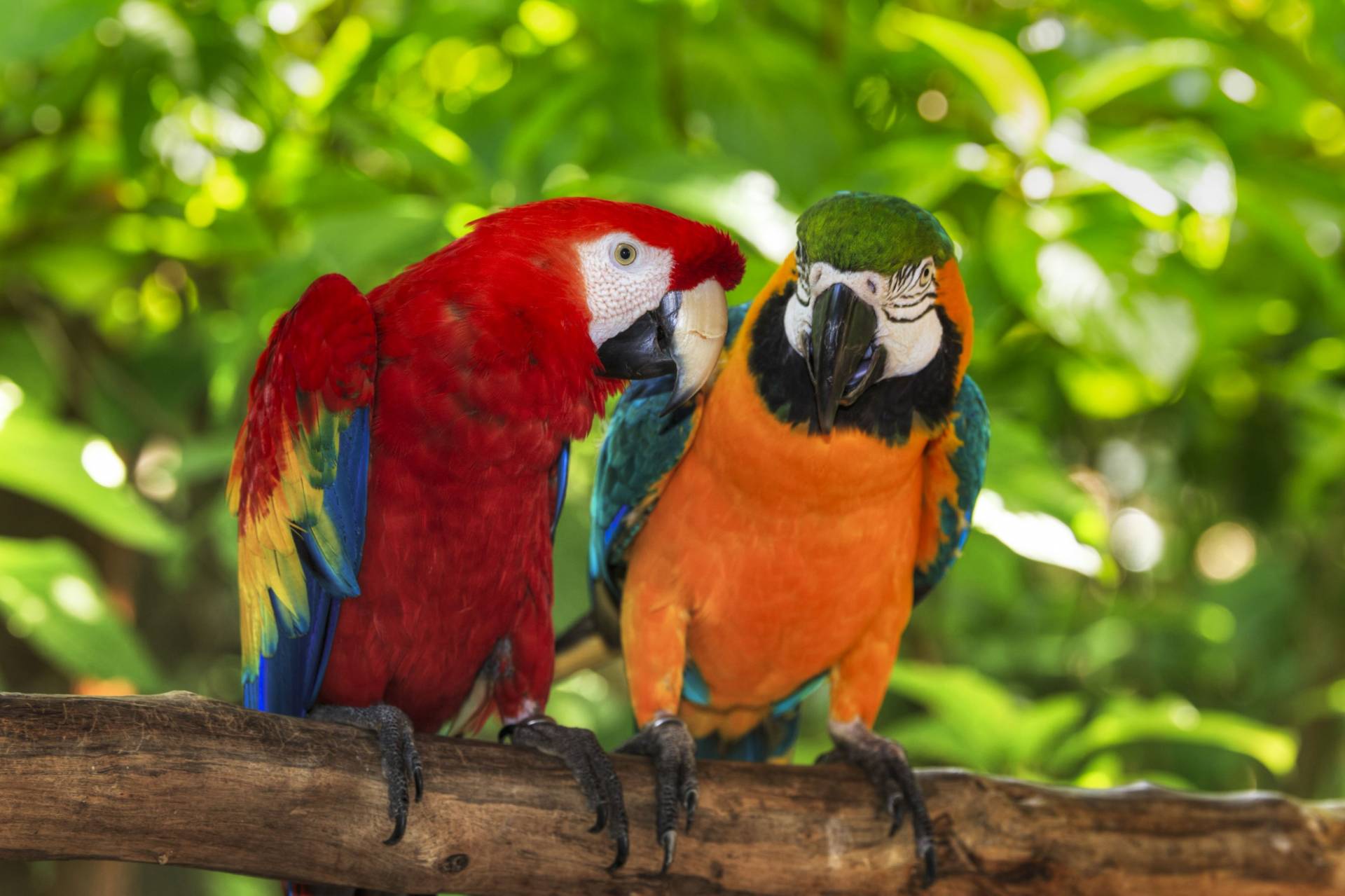 Costa Rica’s natural wonders!