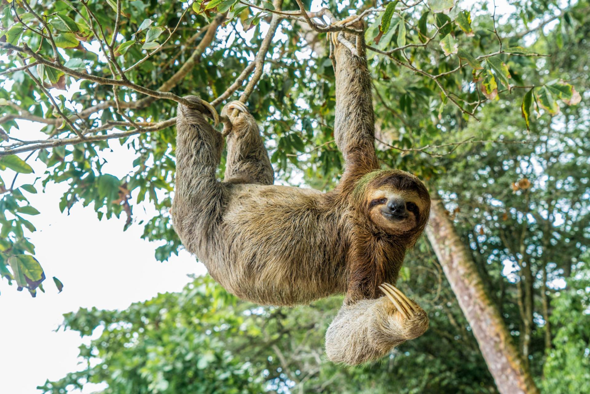 Costa Rica’s natural wonders!