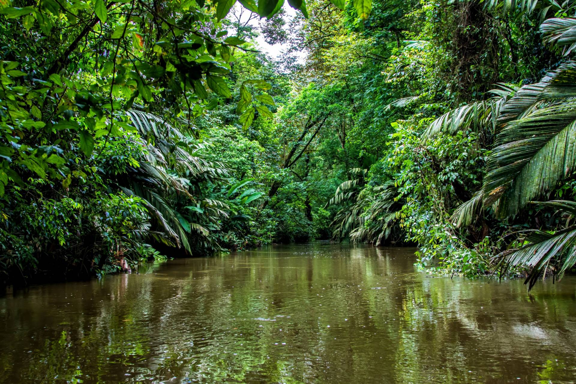 Costa Rica’s natural wonders!